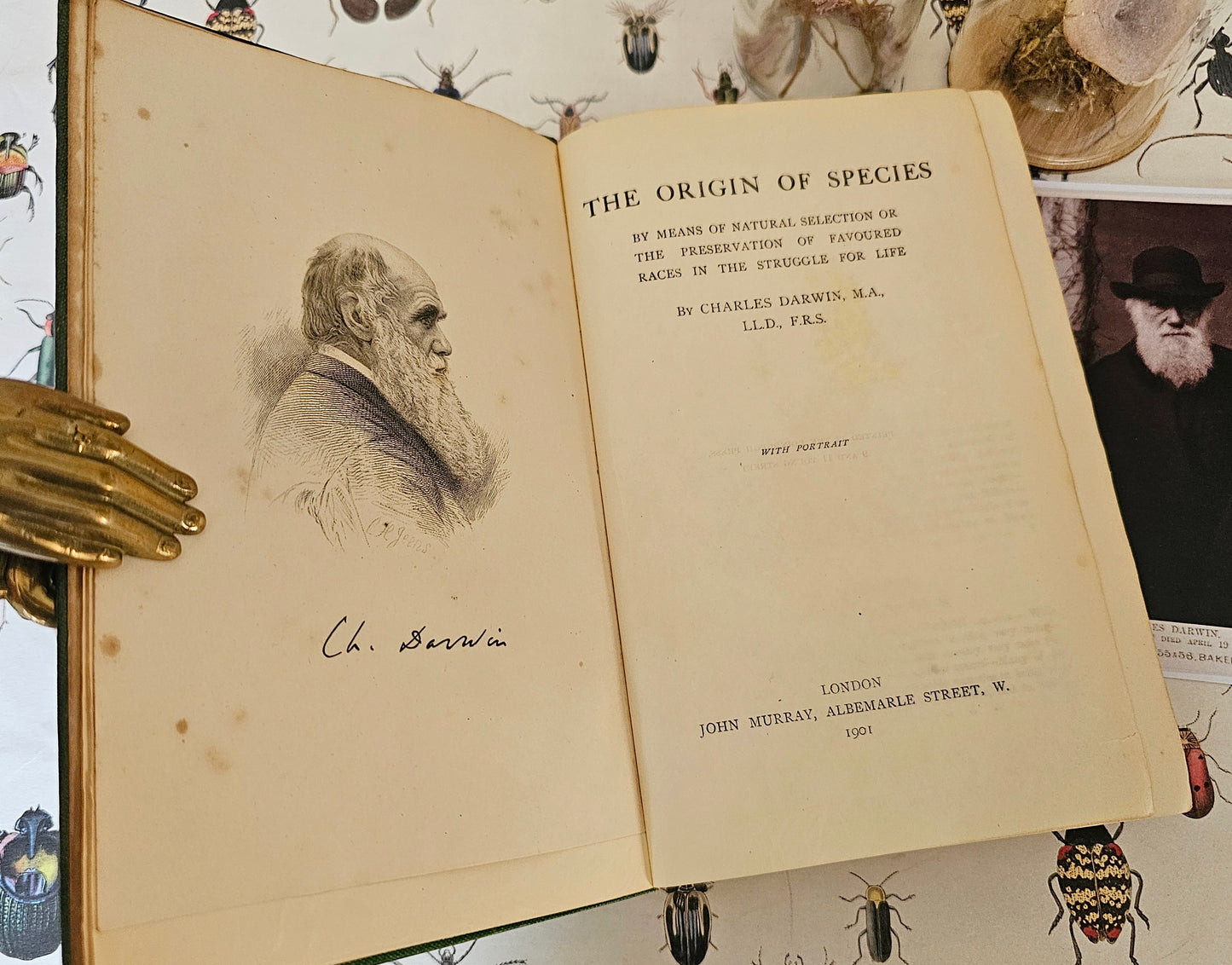 1901 The Origin of Species By Means of Natural Selection by Charles Darwin / John Murray, London / Antique Hardback Book / In Good Condition