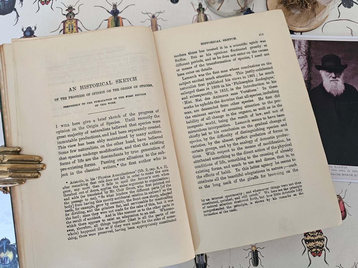 1901 The Origin of Species By Means of Natural Selection by Charles Darwin / John Murray, London / Antique Hardback Book / In Good Condition