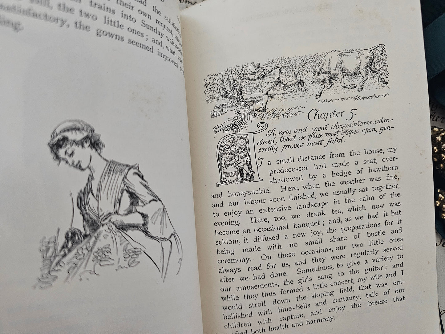 1894 The Vicar of Wakefield by Oliver Goldsmith / Macmillan London / Beautifully Illustrated and Decorated by Hugh Thomson / Good Condition