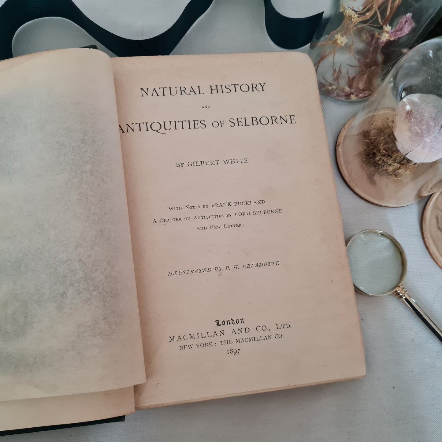 1897 Natural History and Antiquities of Selborne by Gilbert White / Macmillan & Co. Ltd, London / Richly Illustrated Antique Book