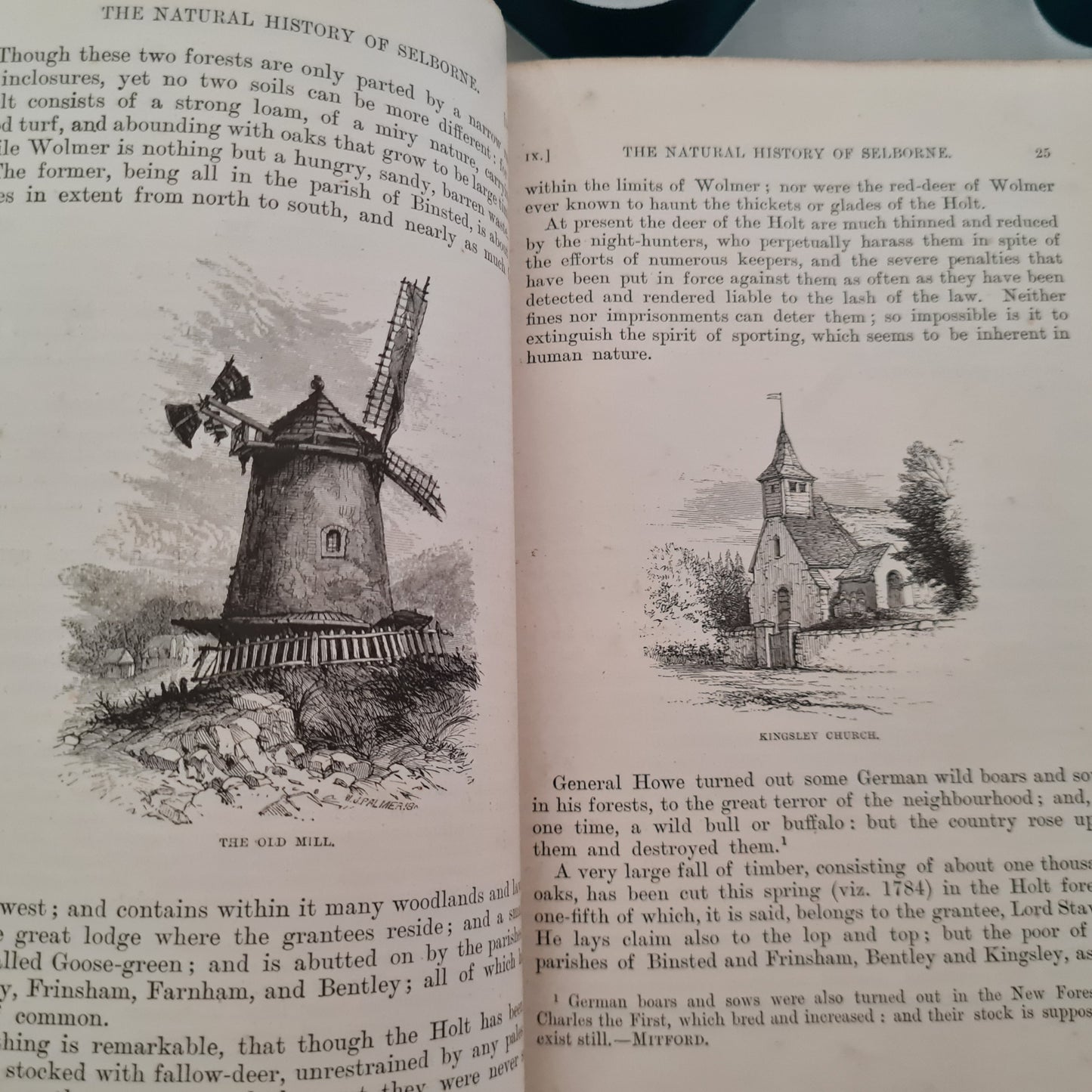 1897 Natural History and Antiquities of Selborne by Gilbert White / Macmillan & Co. Ltd, London / Richly Illustrated Antique Book