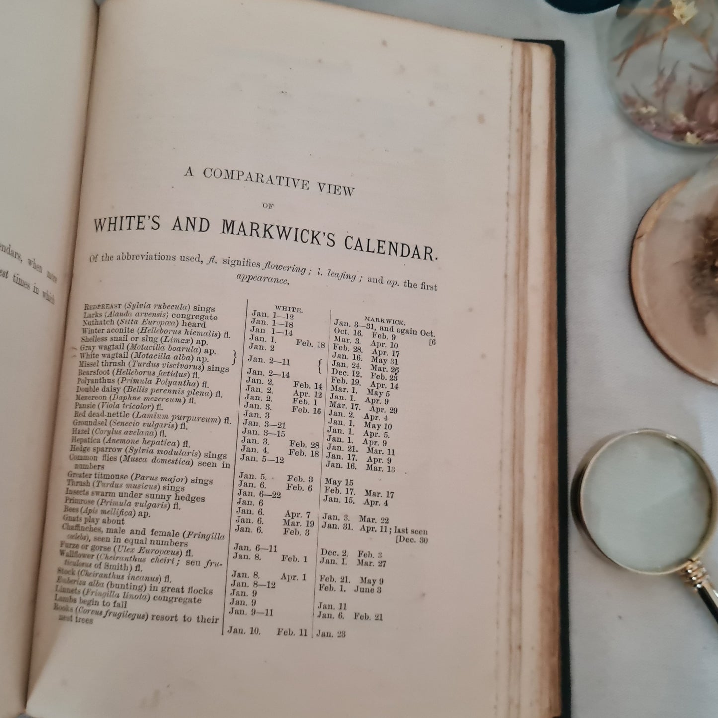 1897 Natural History and Antiquities of Selborne by Gilbert White / Macmillan & Co. Ltd, London / Richly Illustrated Antique Book