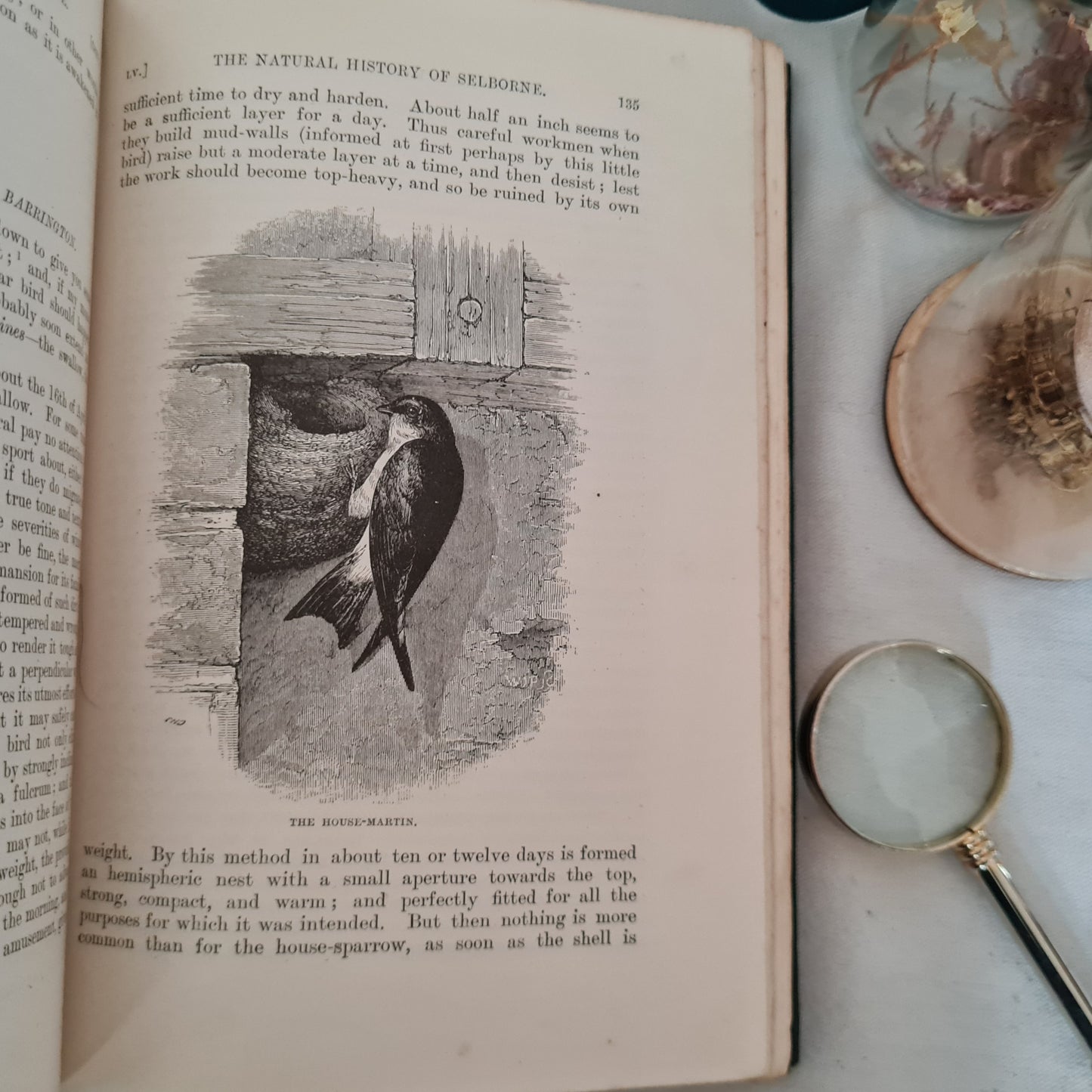 1897 Natural History and Antiquities of Selborne by Gilbert White / Macmillan & Co. Ltd, London / Richly Illustrated Antique Book