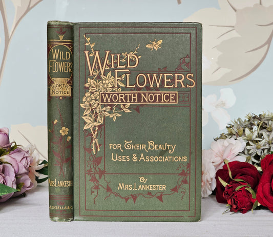 1896 Wild Flowers Worth Notice For Their Beauty, Uses and Associations by Mrs Lankester / 104 Flowers in 18 Colour Plates / Good Condition