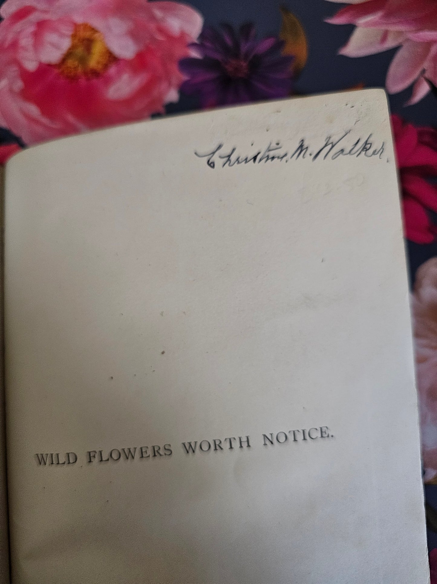 1896 Wild Flowers Worth Notice For Their Beauty, Uses and Associations by Mrs Lankester / 104 Flowers in 18 Colour Plates / Good Condition