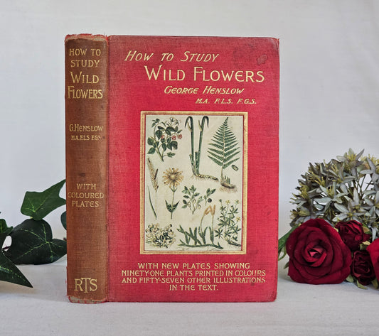 1907, How To Study Wild Flowers by G Henslow / Richly Illustrated With 12 Double-Paged Colour Plates & 57 Drawings / Botanical Art