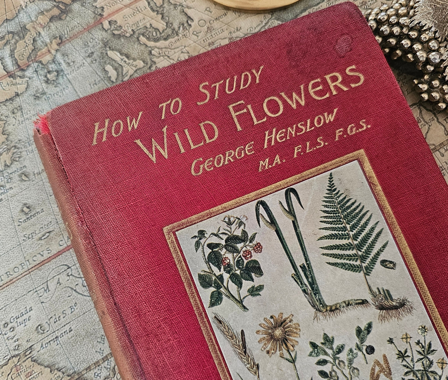 1907, How To Study Wild Flowers by G Henslow / Richly Illustrated With 12 Double-Paged Colour Plates & 57 Drawings / Botanical Art