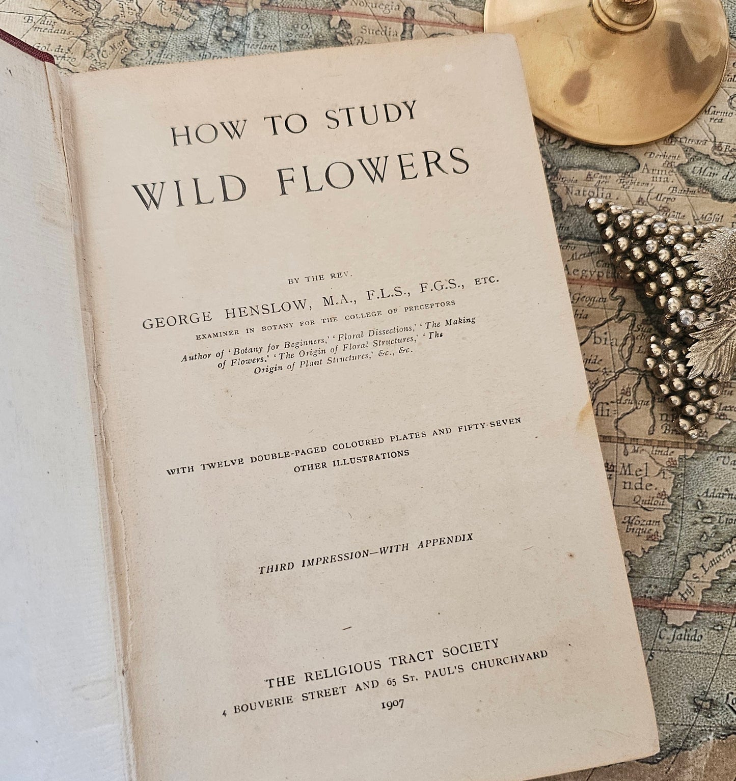 1907, How To Study Wild Flowers by G Henslow / Richly Illustrated With 12 Double-Paged Colour Plates & 57 Drawings / Botanical Art