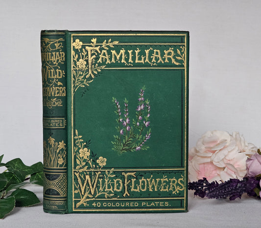 1883 Familiar Wild Flowers by Edward Hulme / Stunning Victorian Antique Book Fifth Series / Richly Colour Illustrated / In Good Condition