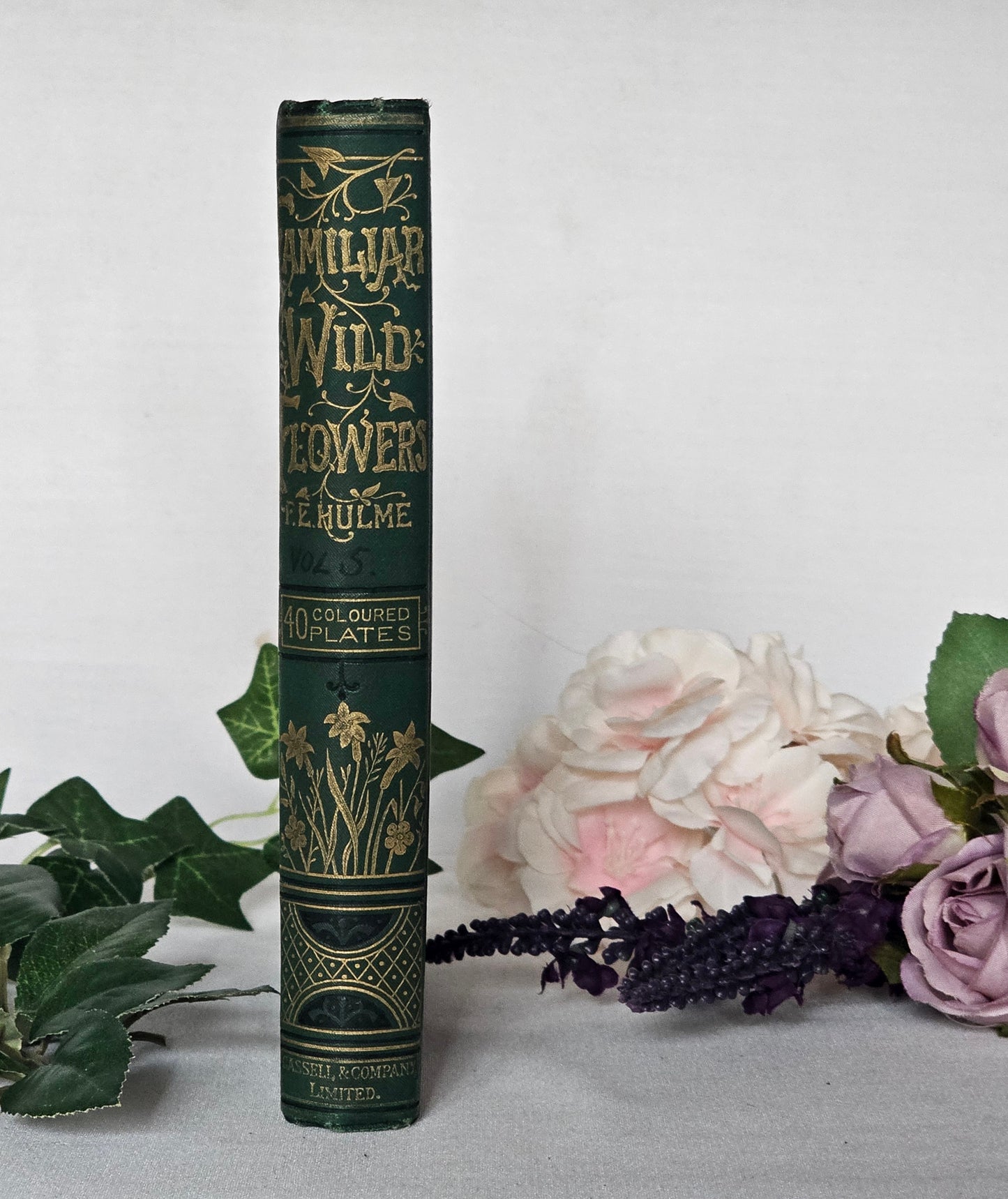 1883 Familiar Wild Flowers by Edward Hulme / Stunning Victorian Antique Book Fifth Series / Richly Colour Illustrated / In Good Condition