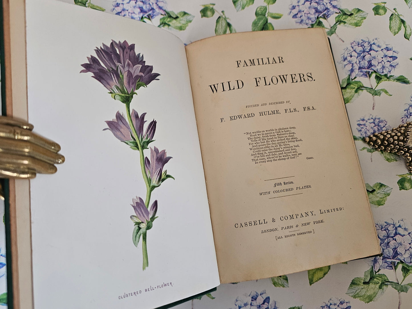 1883 Familiar Wild Flowers by Edward Hulme / Stunning Victorian Antique Book Fifth Series / Richly Colour Illustrated / In Good Condition