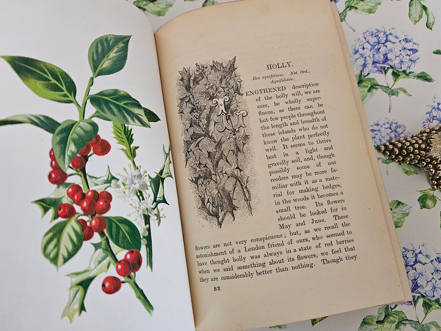 1883 Familiar Wild Flowers by Edward Hulme / Stunning Victorian Antique Book Fifth Series / Richly Colour Illustrated / In Good Condition