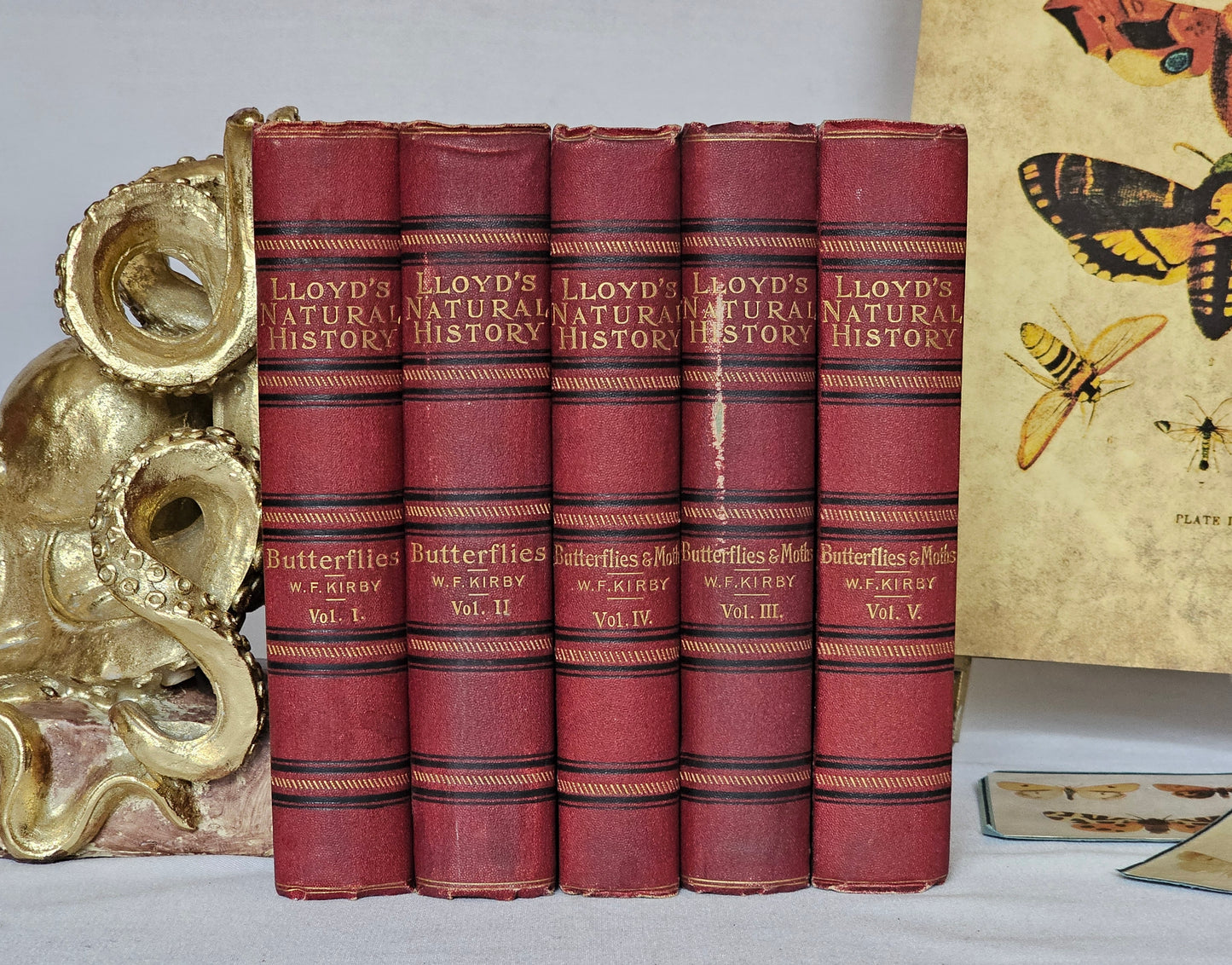 1896 Butterflies and Moths Lloyd's Natural History in Five Volumes / Handbook To The Order of Lepidoptera / 158 Beautiful Colour Plates