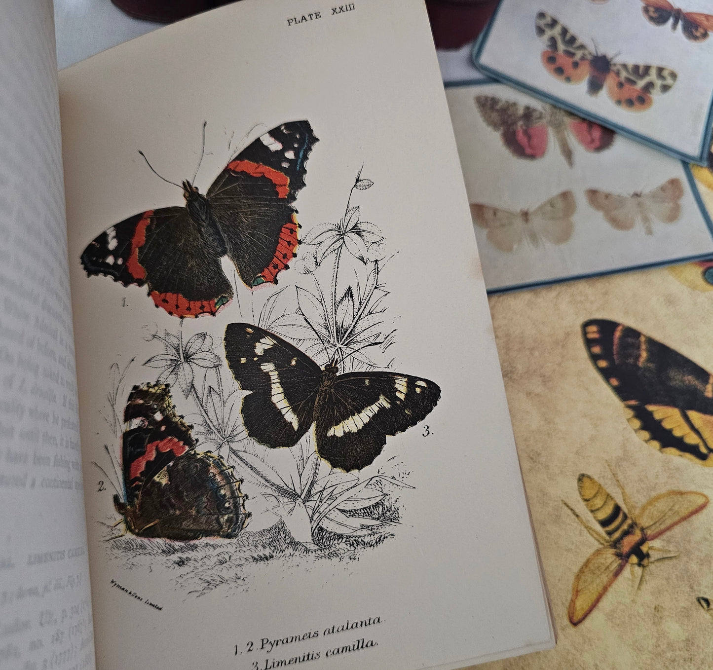 1896 Butterflies and Moths Lloyd's Natural History in Five Volumes / Handbook To The Order of Lepidoptera / 158 Beautiful Colour Plates