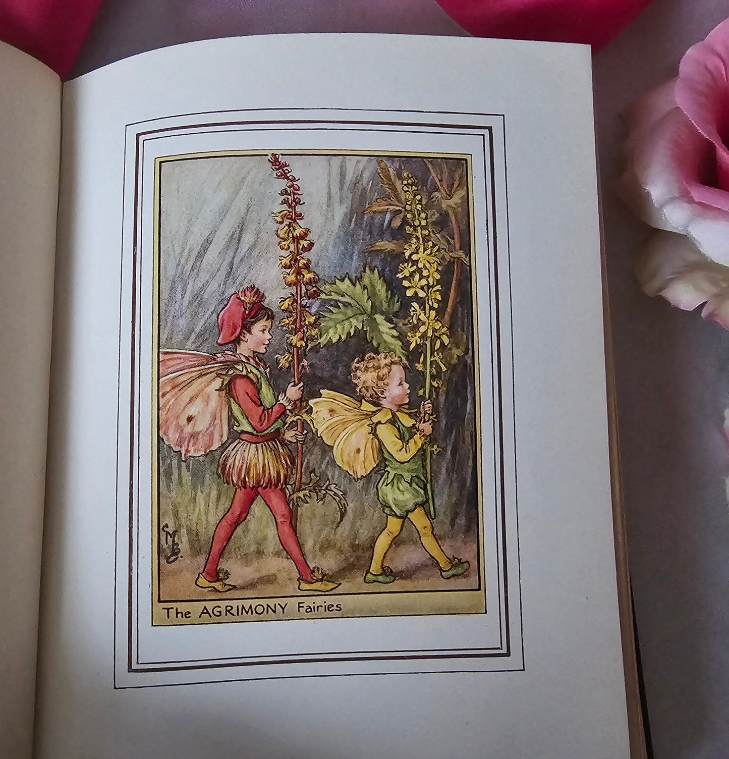 1950 Fairies of the Flowers and Trees by Cicely Mary Barker / Blackie & Son Ltd, London / In Excellent Condition / Beautiful Illustrations