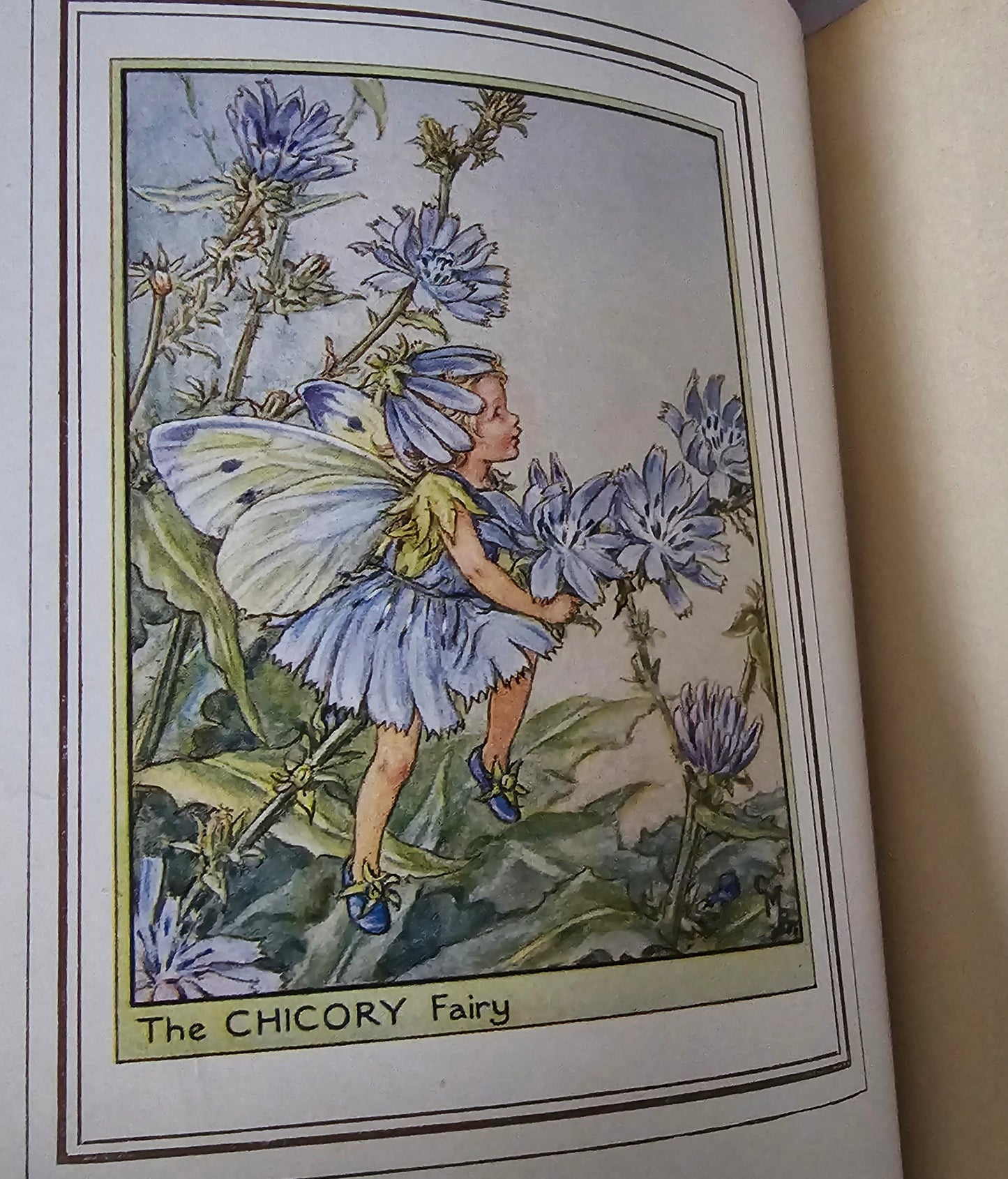 1950 Fairies of the Flowers and Trees by Cicely Mary Barker / Blackie & Son Ltd, London / In Excellent Condition / Beautiful Illustrations