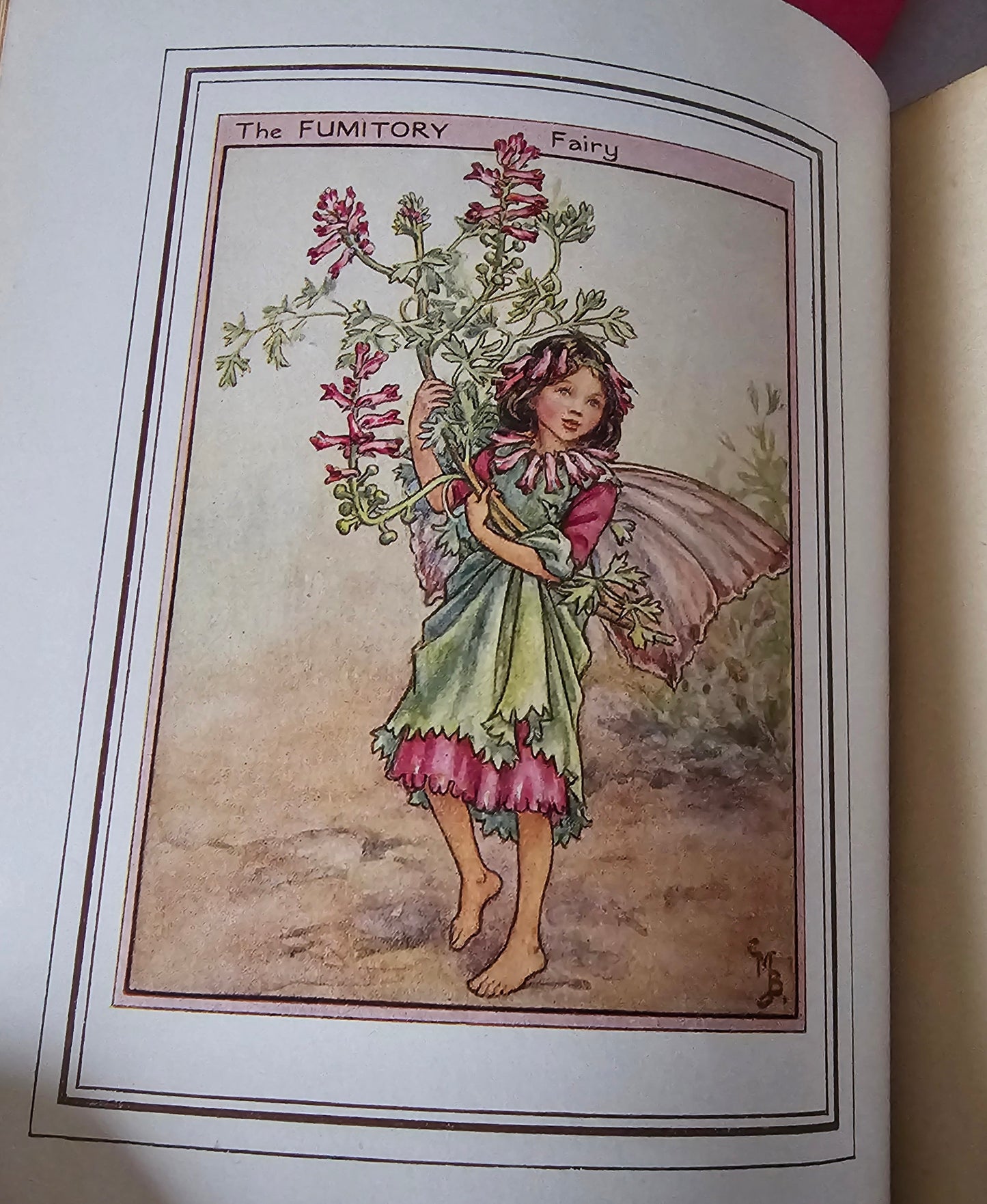 1950 Fairies of the Flowers and Trees by Cicely Mary Barker / Blackie & Son Ltd, London / In Excellent Condition / Beautiful Illustrations