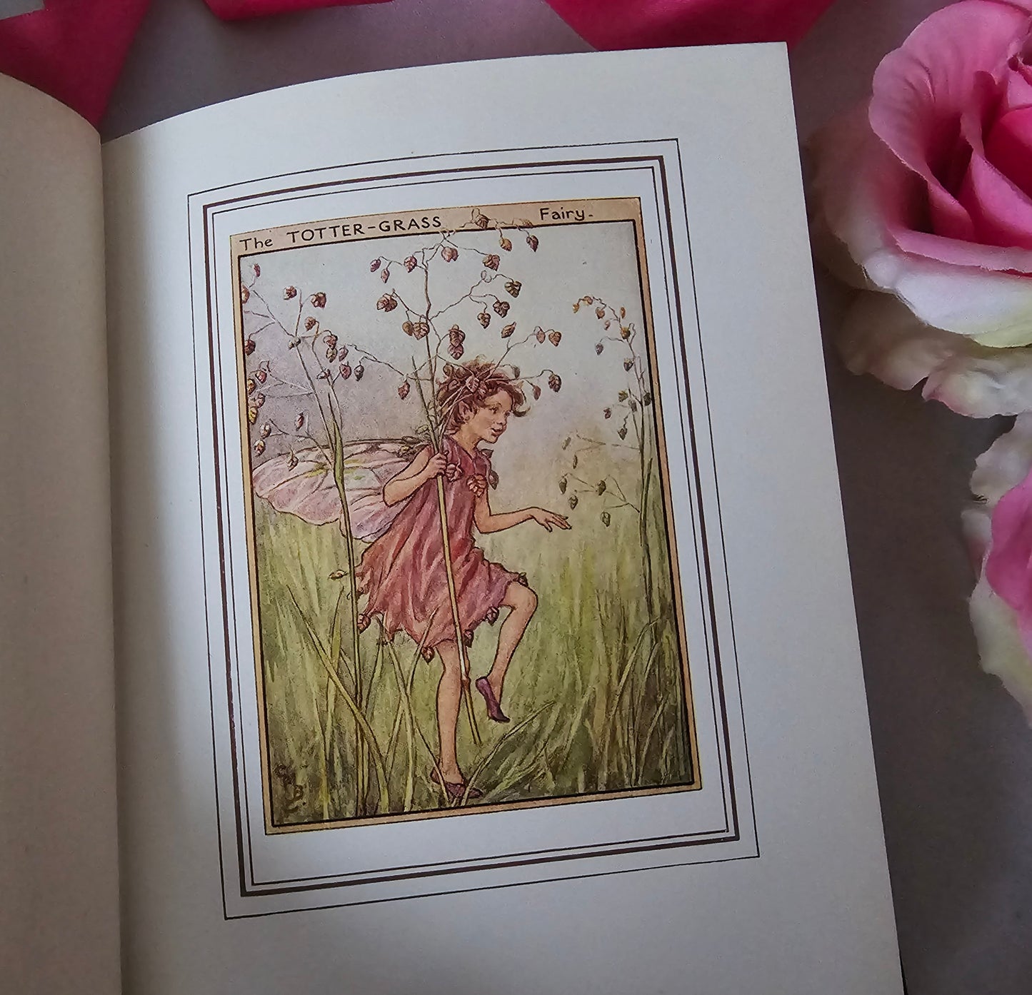 1950 Fairies of the Flowers and Trees by Cicely Mary Barker / Blackie & Son Ltd, London / In Excellent Condition / Beautiful Illustrations