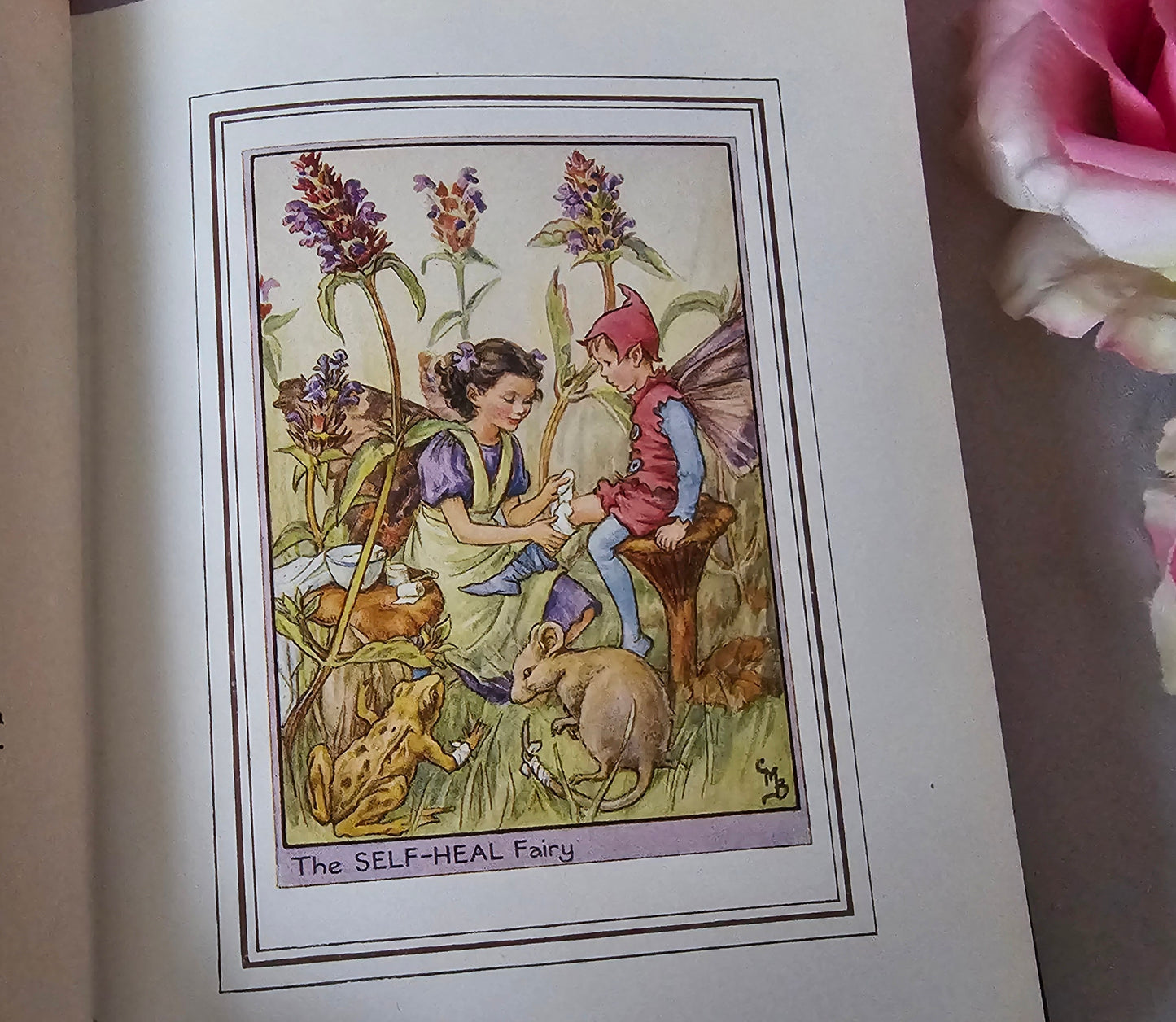 1950 Fairies of the Flowers and Trees by Cicely Mary Barker / Blackie & Son Ltd, London / In Excellent Condition / Beautiful Illustrations