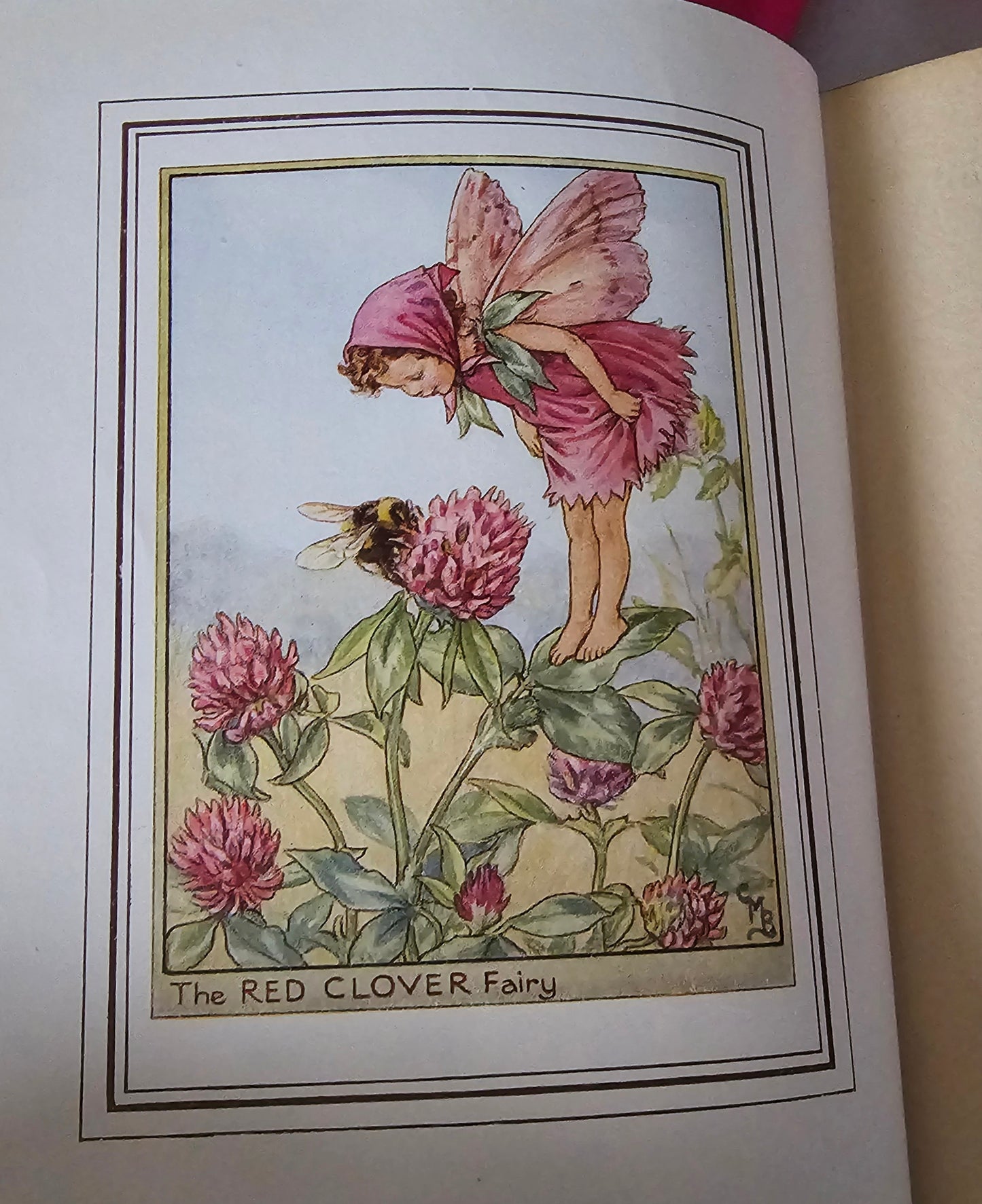 1950 Fairies of the Flowers and Trees by Cicely Mary Barker / Blackie & Son Ltd, London / In Excellent Condition / Beautiful Illustrations