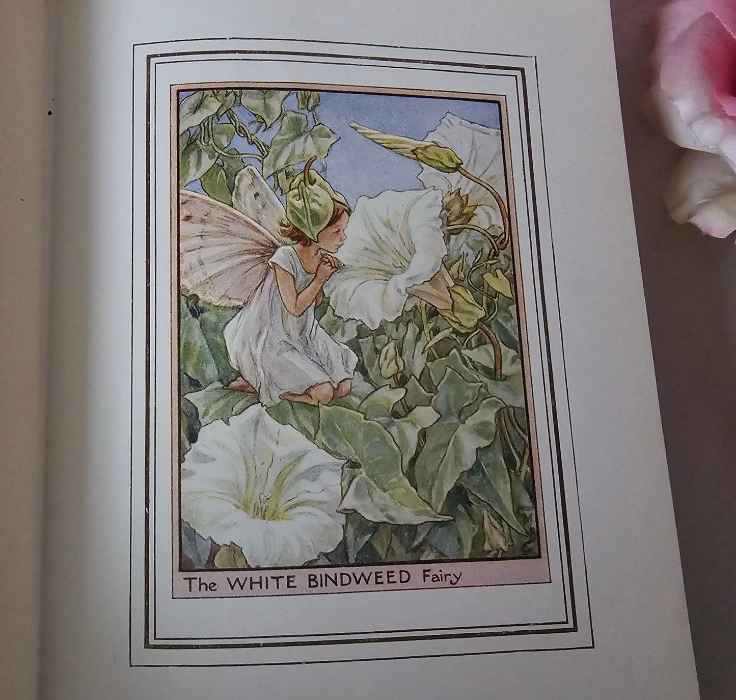 1950 Fairies of the Flowers and Trees by Cicely Mary Barker / Blackie & Son Ltd, London / In Excellent Condition / Beautiful Illustrations