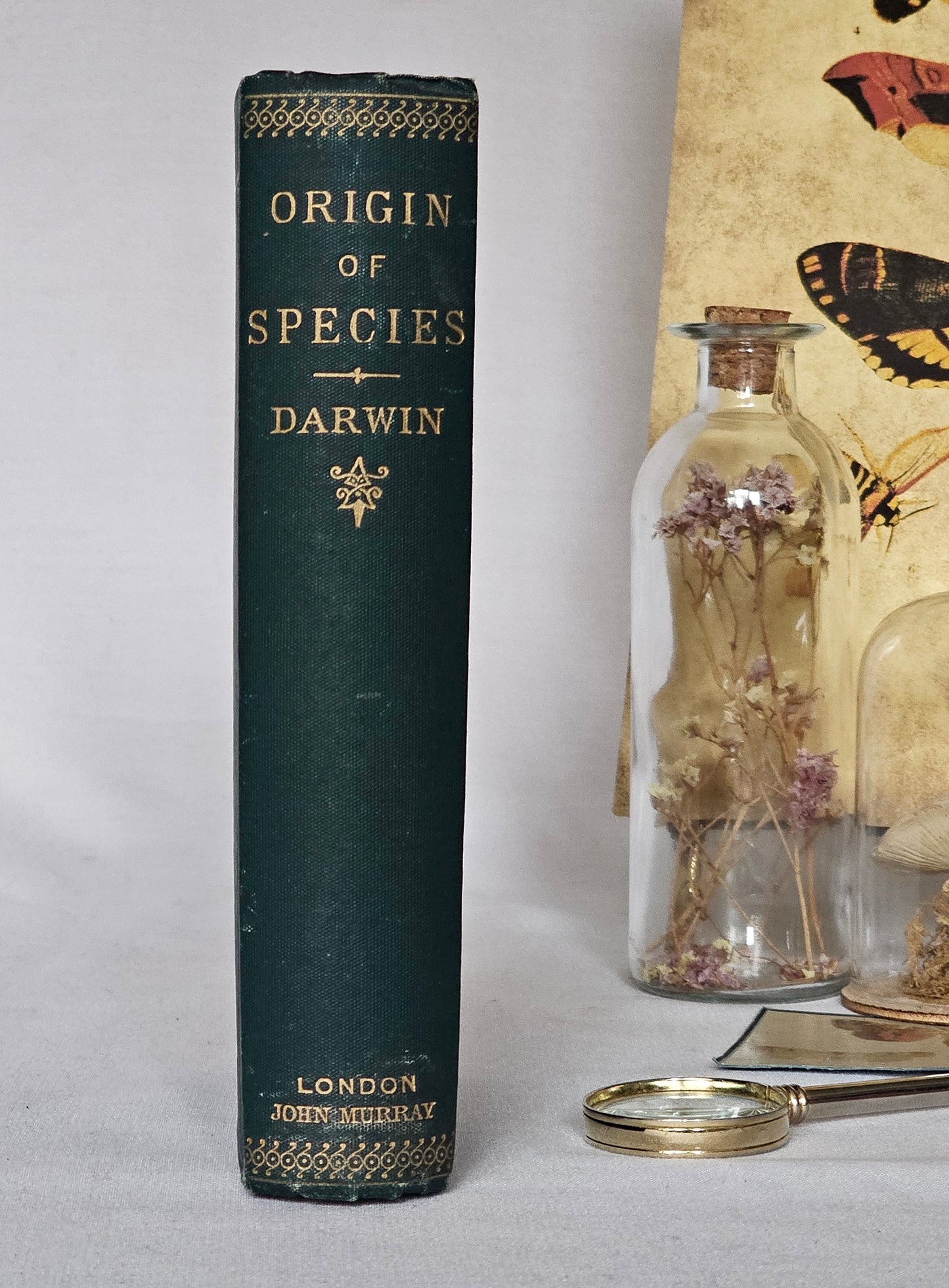 1894 The Origin of Species by Means of Natural Selection by Charles Darwin / John Murray, London / In Good Bright Condition / An Early Copy