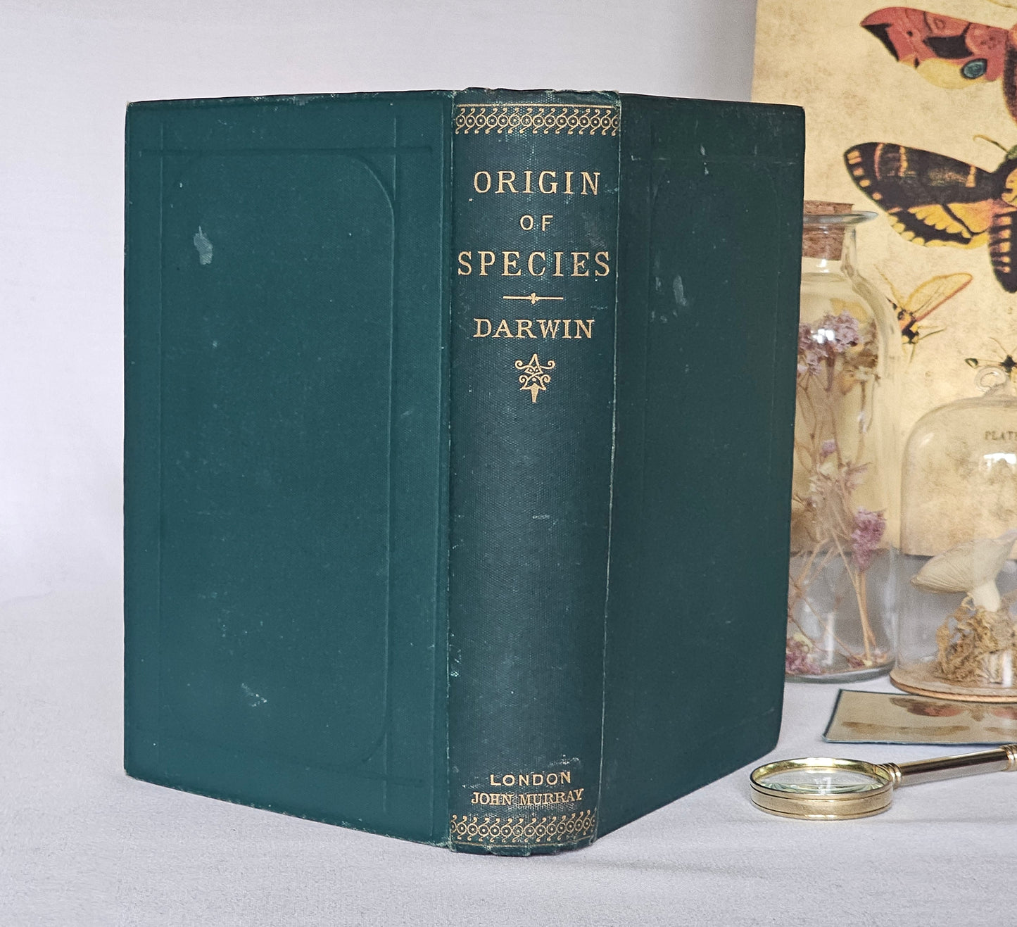 1894 The Origin of Species by Means of Natural Selection by Charles Darwin / John Murray, London / In Good Bright Condition / An Early Copy