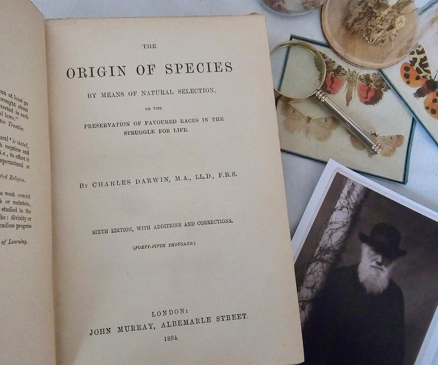 1894 The Origin of Species by Means of Natural Selection by Charles Darwin / John Murray, London / In Good Bright Condition / An Early Copy