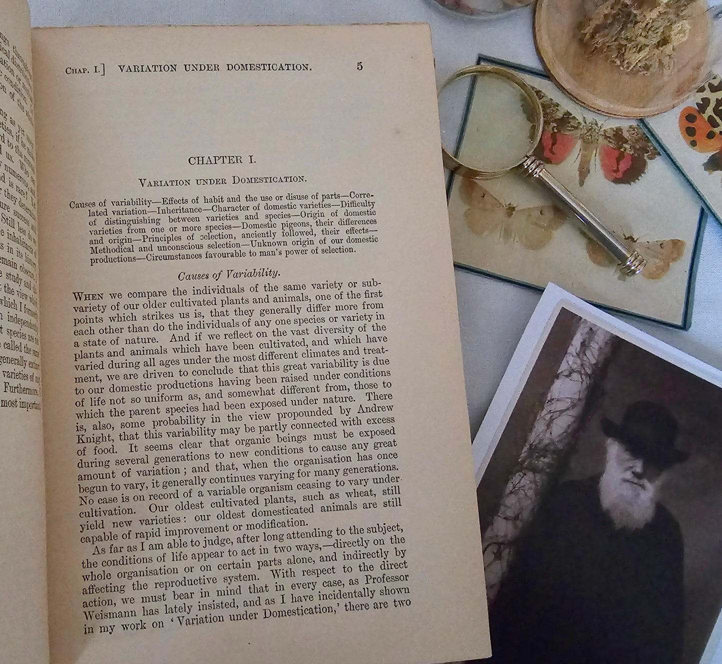 1894 The Origin of Species by Means of Natural Selection by Charles Darwin / John Murray, London / In Good Bright Condition / An Early Copy