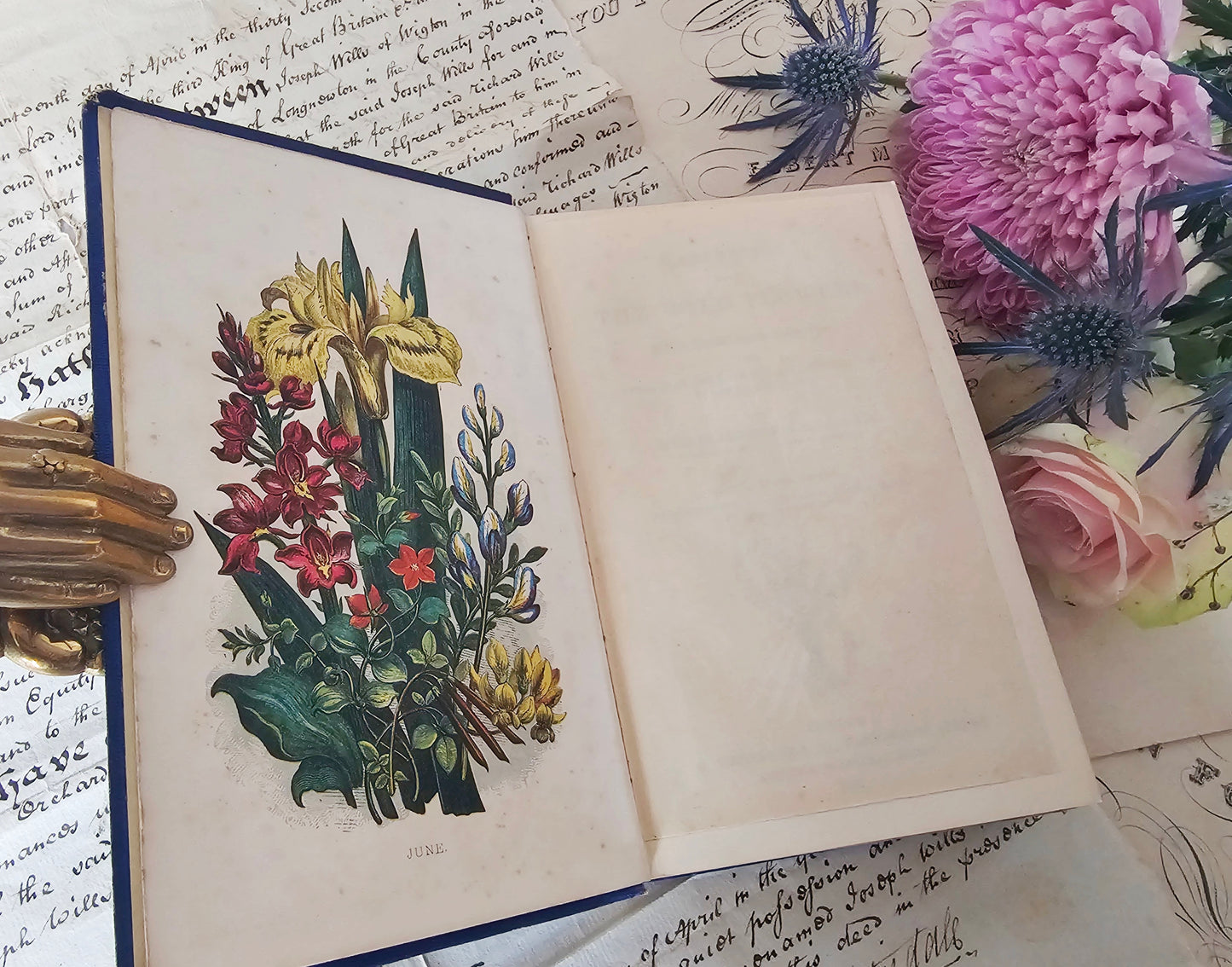 1857 Wanderings Among the Wild Flowers - How to See and How to Gather Them / Routledge & Co., London / 8 Colour Plates / Lovely Antique Book