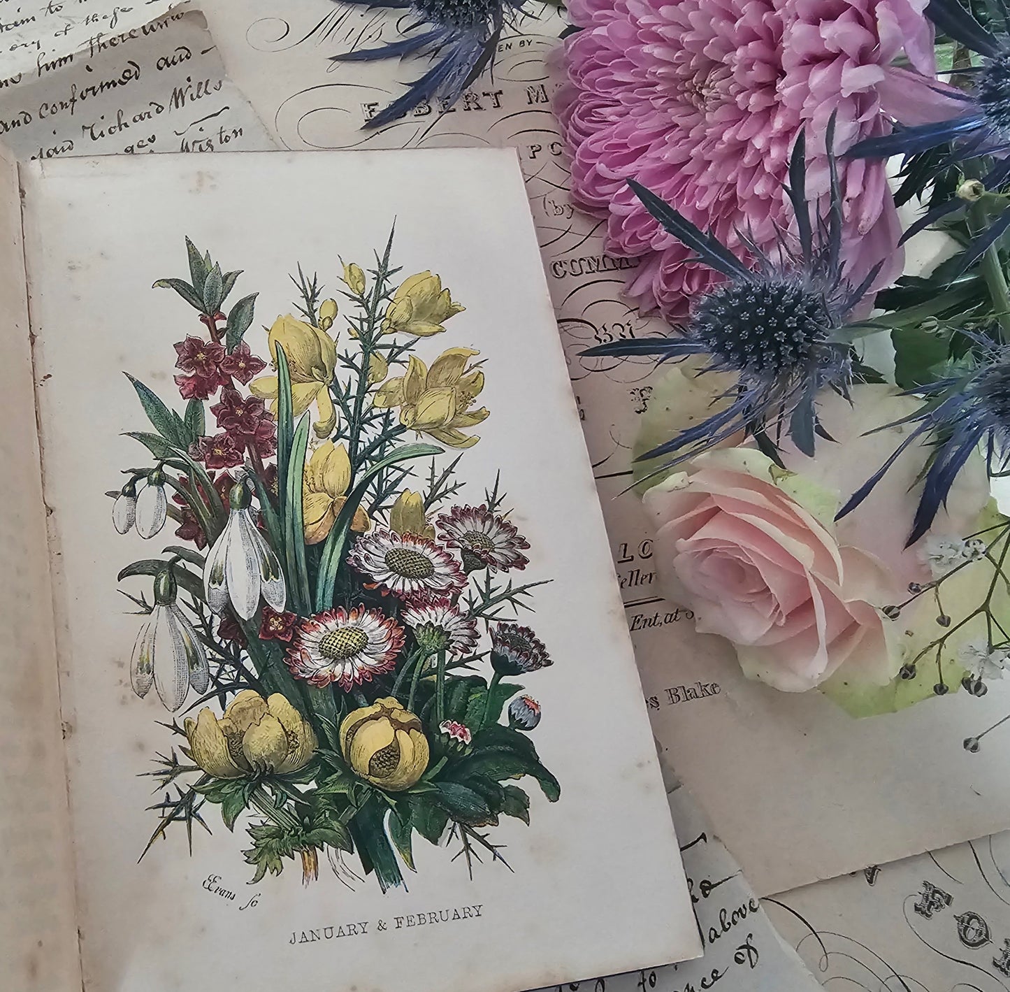 1857 Wanderings Among the Wild Flowers - How to See and How to Gather Them / Routledge & Co., London / 8 Colour Plates / Lovely Antique Book