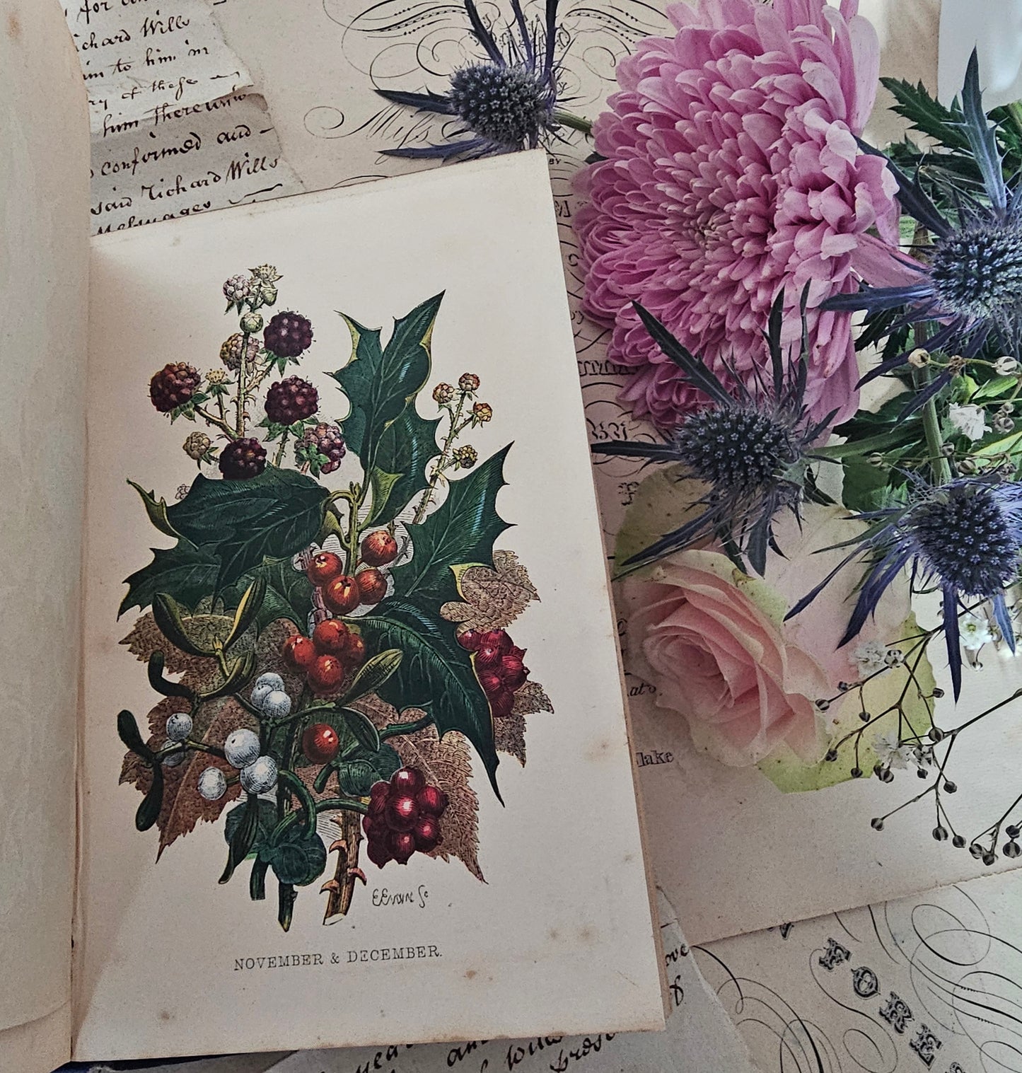 1857 Wanderings Among the Wild Flowers - How to See and How to Gather Them / Routledge & Co., London / 8 Colour Plates / Lovely Antique Book