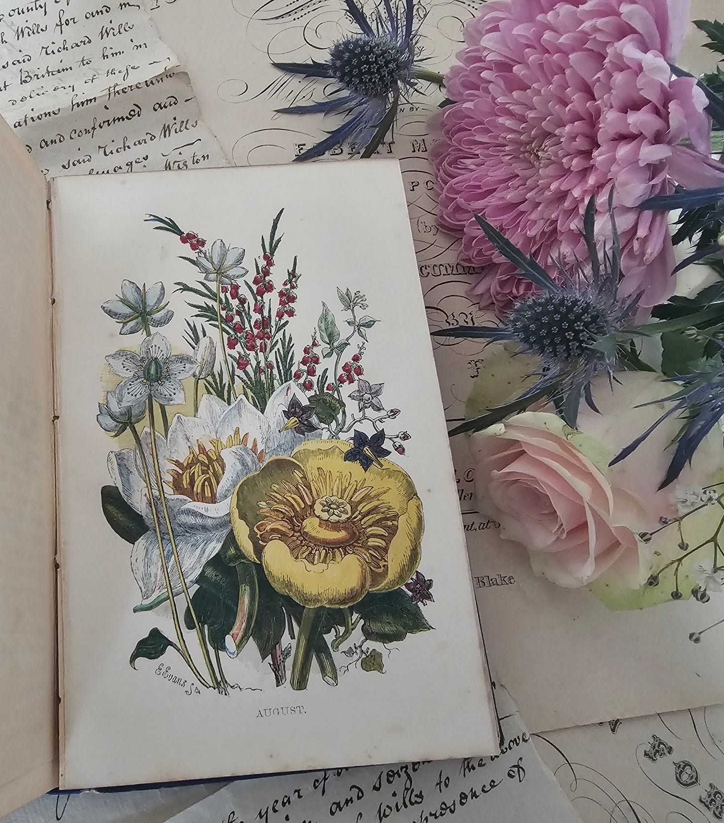 1857 Wanderings Among the Wild Flowers - How to See and How to Gather Them / Routledge & Co., London / 8 Colour Plates / Lovely Antique Book