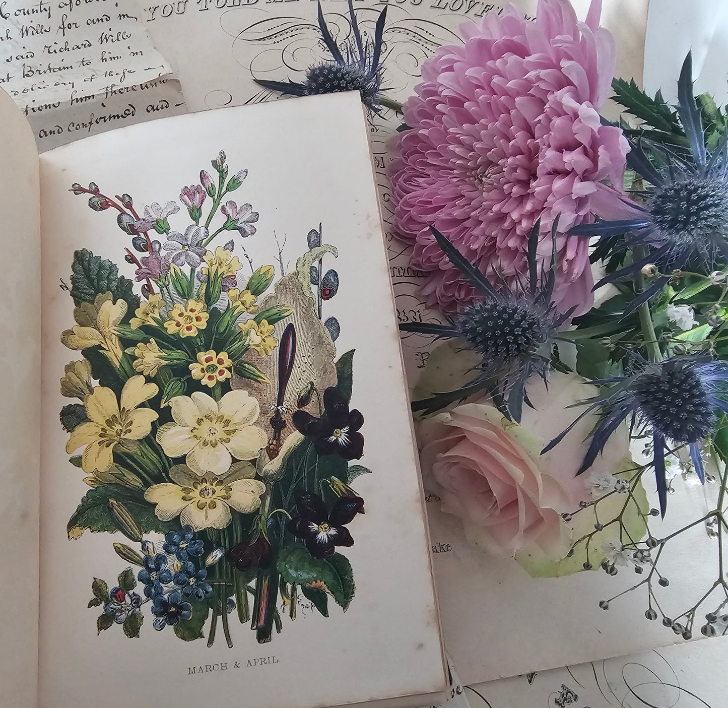 1857 Wanderings Among the Wild Flowers - How to See and How to Gather Them / Routledge & Co., London / 8 Colour Plates / Lovely Antique Book