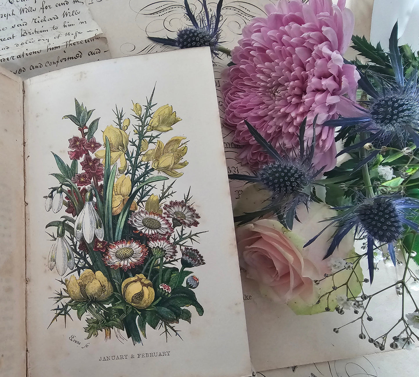 1857 Wanderings Among the Wild Flowers - How to See and How to Gather Them / Routledge & Co., London / 8 Colour Plates / Lovely Antique Book