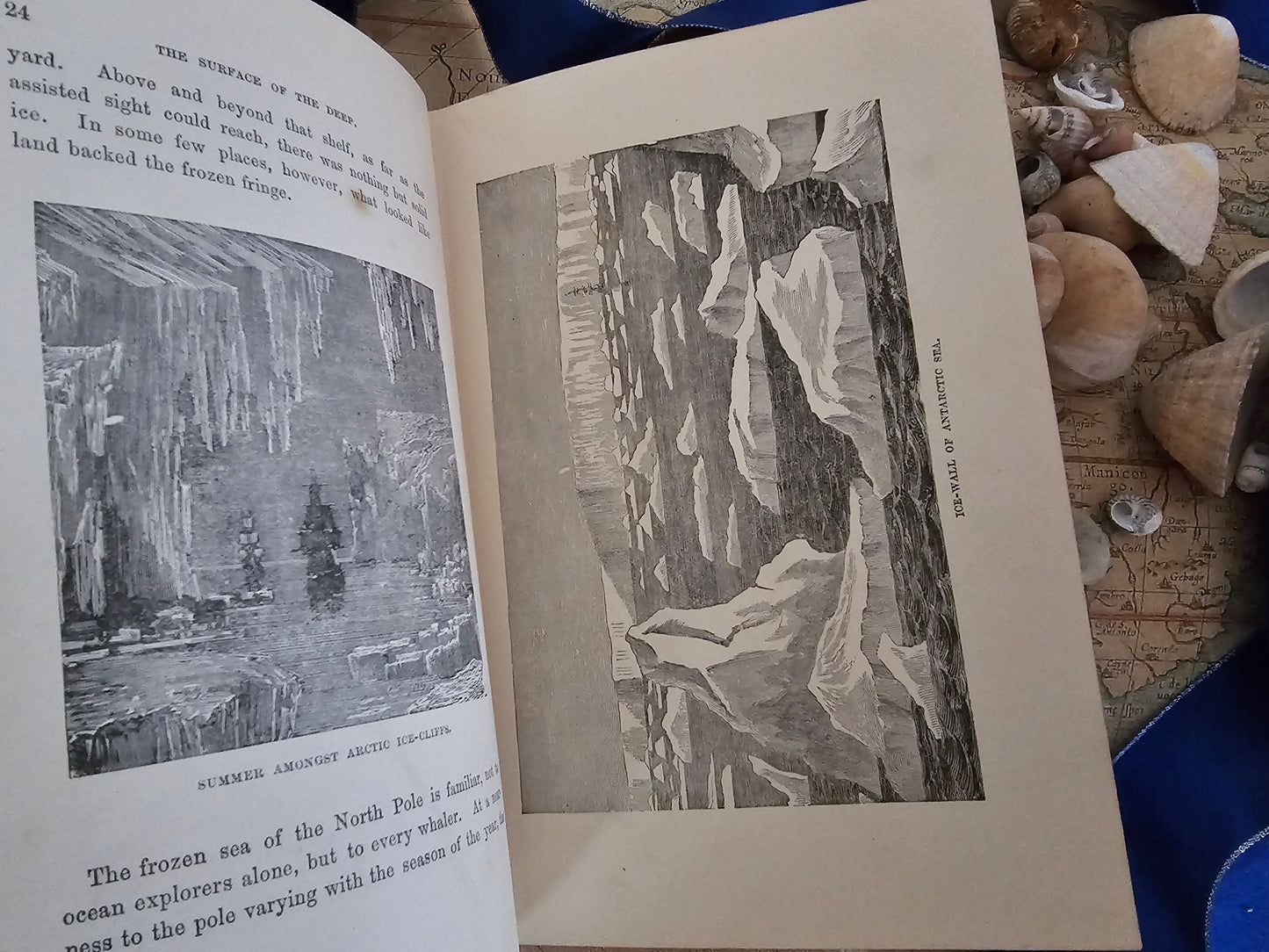 1890s Half Hours in the Deep - The Nature and Wealth of the Sea / James Nisbet & Co., London / Richly Illustrated / Gilt Edged Pages