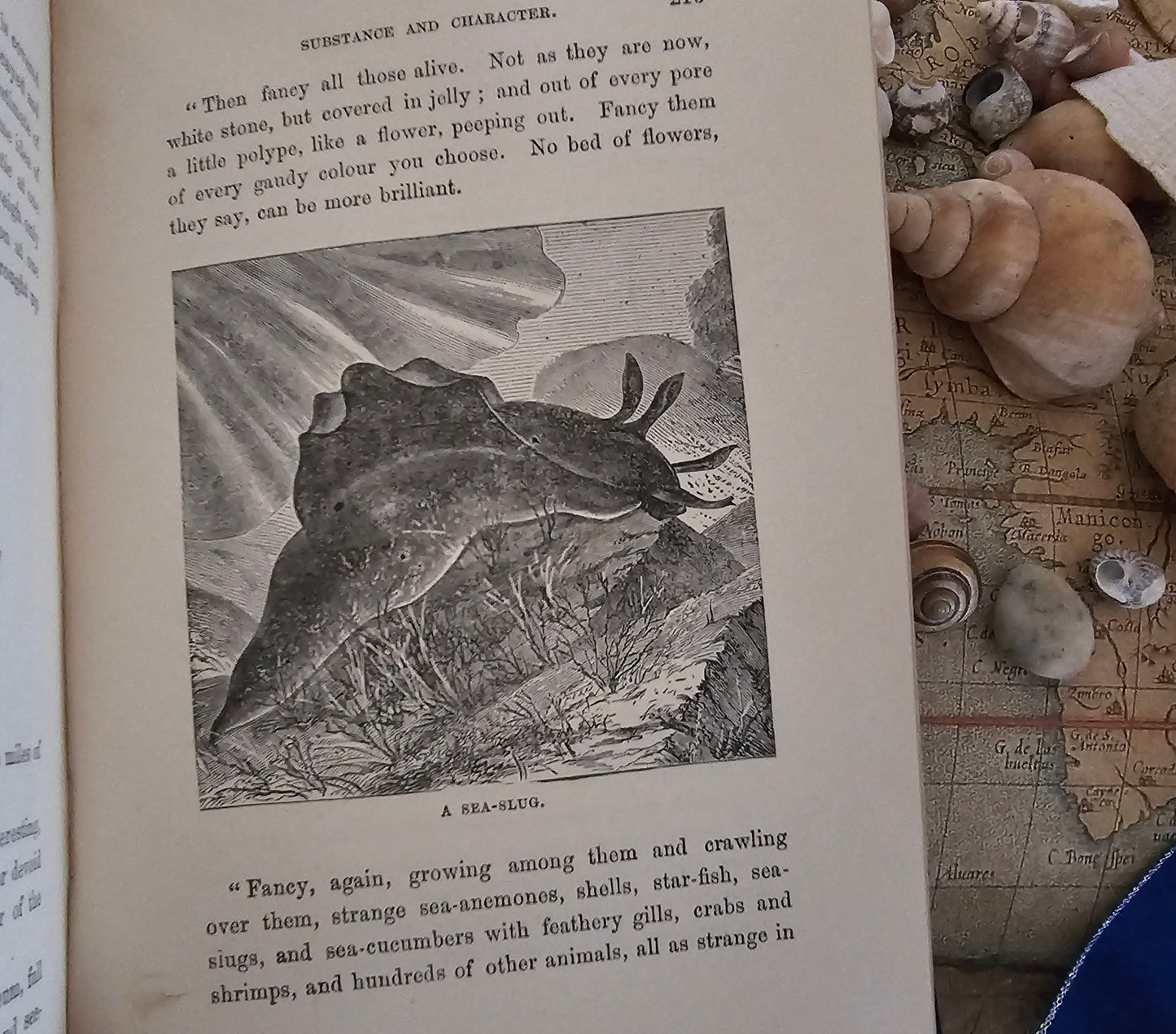 1890s Half Hours in the Deep - The Nature and Wealth of the Sea / James Nisbet & Co., London / Richly Illustrated / Gilt Edged Pages