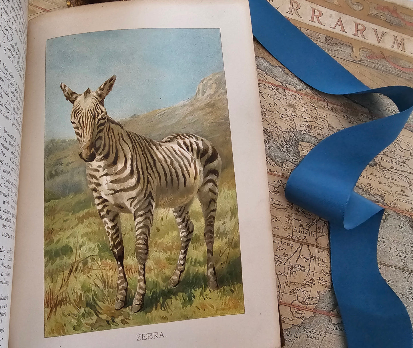 A Natural History For Young People by Rev Wood / Ernest Nister, London / Richly Illustrated With 12 Superb Colour Plates and Over 300 in BW