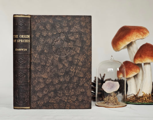 1930s The Origin of Species by Charles Darwin / Odhams Press Ltd / Brown Faux Leather Boards With Gilt Lettering / In Excellent Condition