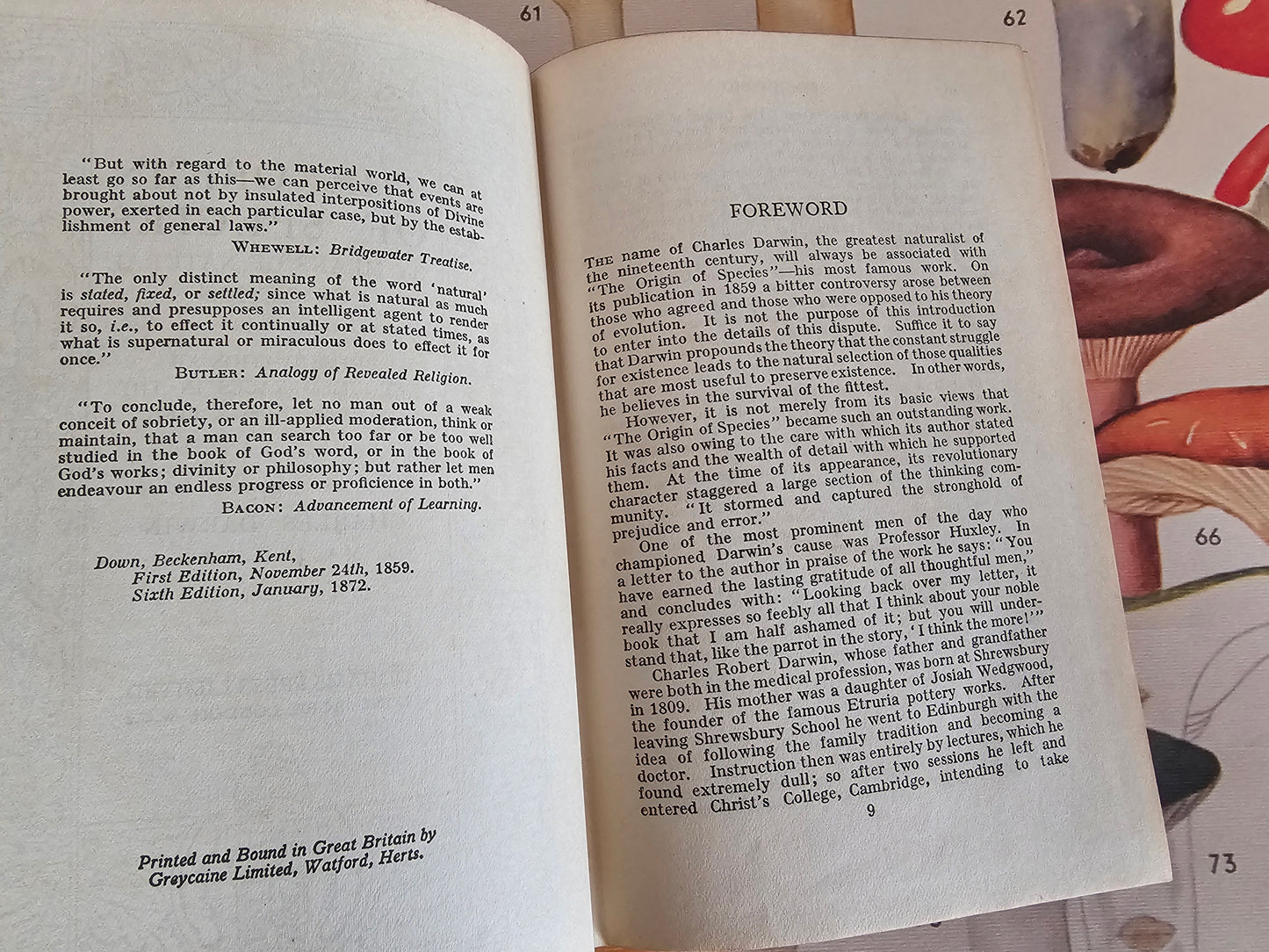 1930s The Origin of Species by Charles Darwin / Odhams Press Ltd / Brown Faux Leather Boards With Gilt Lettering / In Excellent Condition