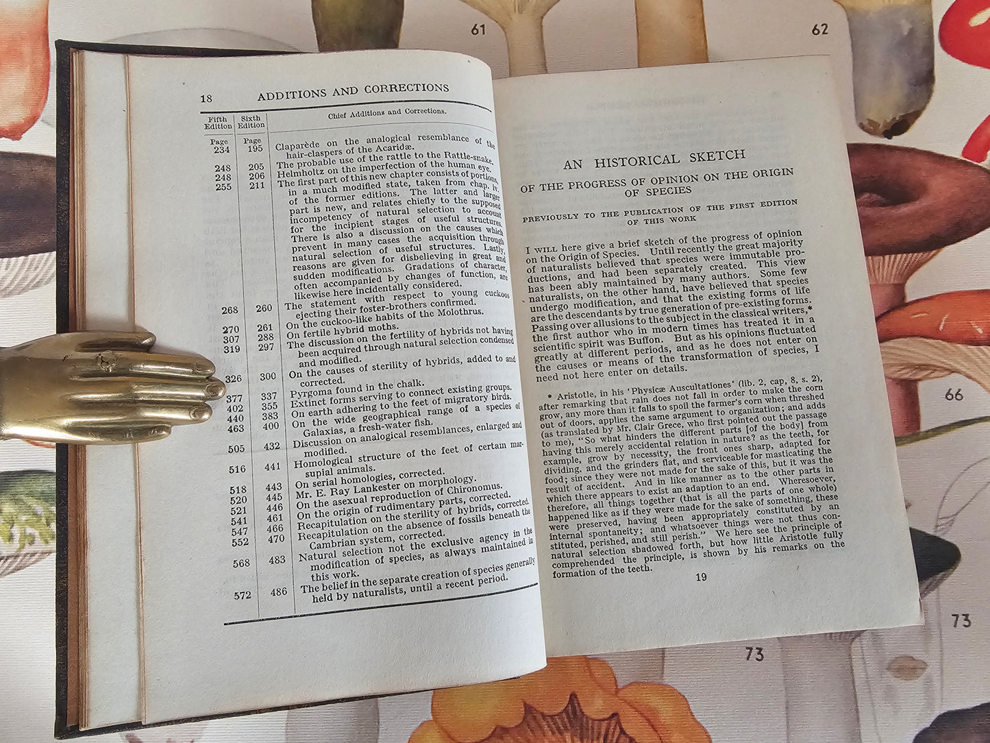 1930s The Origin of Species by Charles Darwin / Odhams Press Ltd / Brown Faux Leather Boards With Gilt Lettering / In Excellent Condition