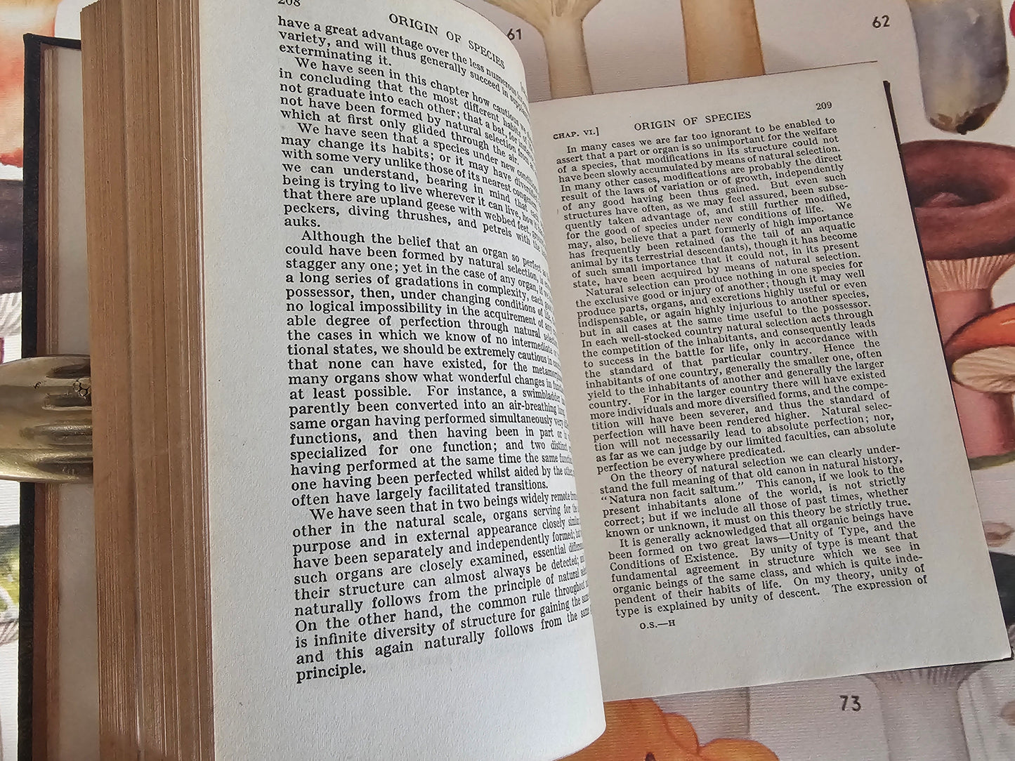 1930s The Origin of Species by Charles Darwin / Odhams Press Ltd / Brown Faux Leather Boards With Gilt Lettering / In Excellent Condition