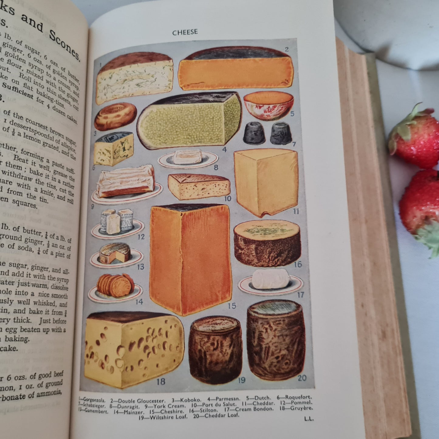 1949 Mrs Beeton's Household Management A Complete Cookery Book / Ward Lock & Co. / Vintage Book / In Excellent Condition / 16 Colour Plates