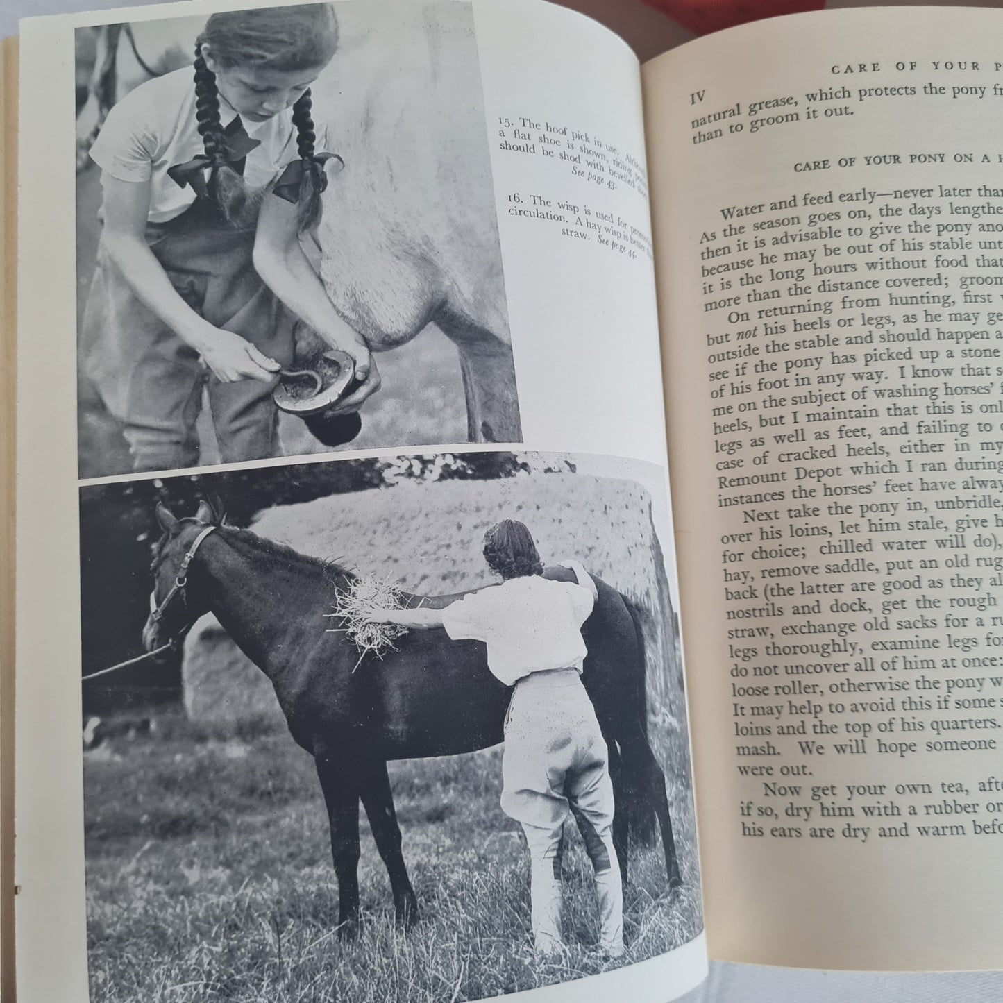 1948 Ponies and Riders A Book of Instruction For Young Riders by Mrs Victoria Hurst / Collins, London / Richly Illustrated / Vintage Book