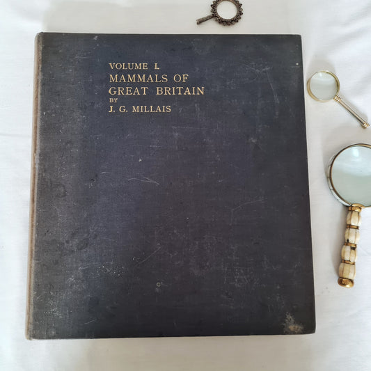 1904 Bats - A Special Edition Taken From The Mammals of Great Britain and Ireland by JG Millais / Richly Illustrated Large Hardback