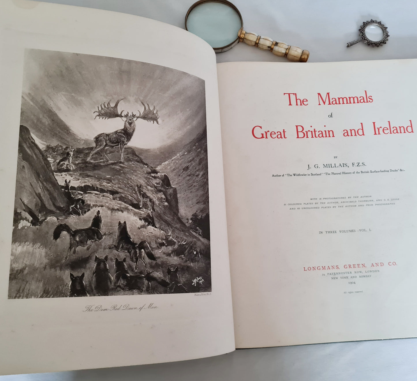 1904 Bats - A Special Edition Taken From The Mammals of Great Britain and Ireland by JG Millais / Richly Illustrated Large Hardback