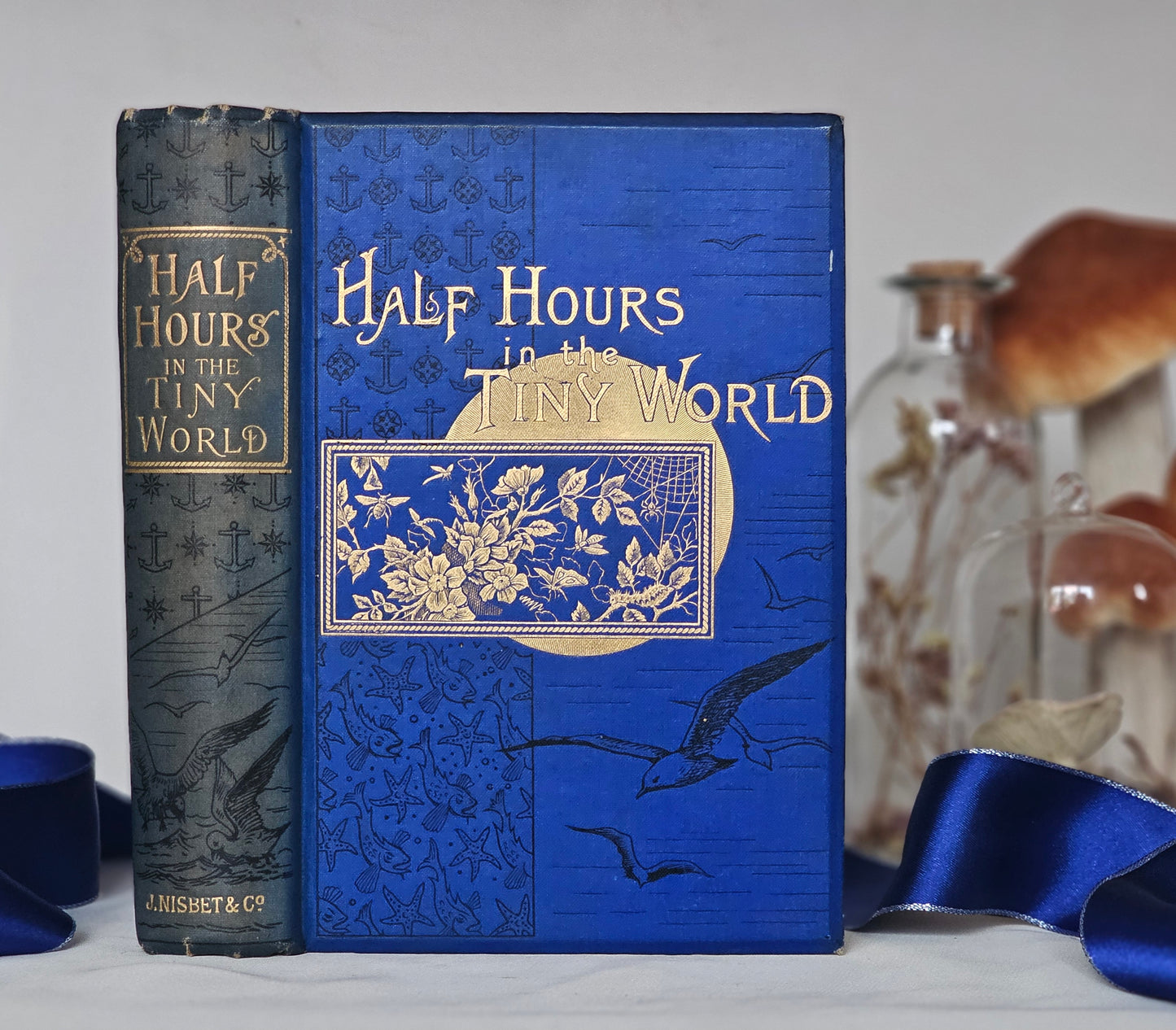 1896 Half Hours in the Tiny World - Wonders of Insect Life / James Nisbet, London / Richly Illustrated / Gilt Edged Pages / Good Condition