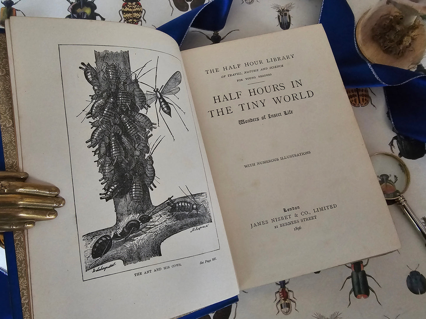 1896 Half Hours in the Tiny World - Wonders of Insect Life / James Nisbet, London / Richly Illustrated / Gilt Edged Pages / Good Condition