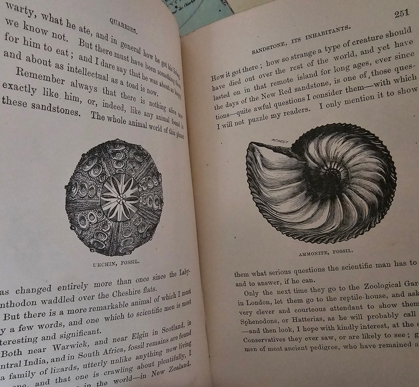 1900 Half Hours Underground - Volcanoes, Mines and Caves / James Nisbet, London / Richly Illustrated / Gilt Edged Pages / In Good Condition