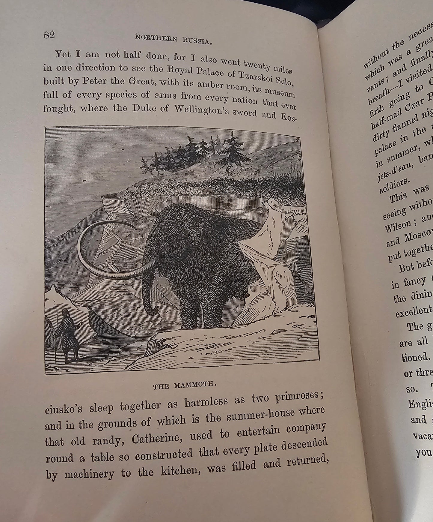 1900 Half Hours in the Far North - Life Amid Snow and Ice / James Nisbet, London / Richly Illustrated / Gilt Edged Pages / In Good Condition